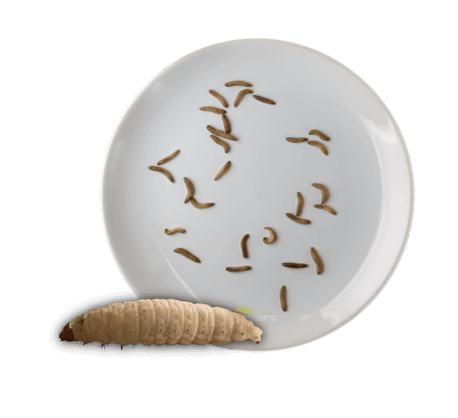 22.png