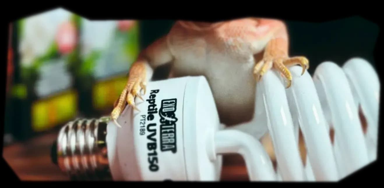 ВЫБОР УФ.webp