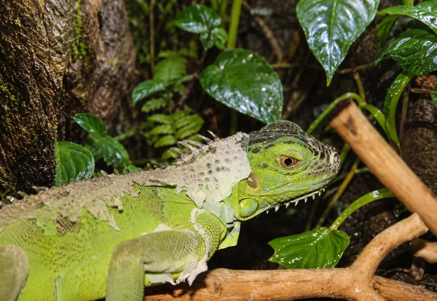 ChatGPT-Image-19-мая-2026-г._-16_04_41.webp
