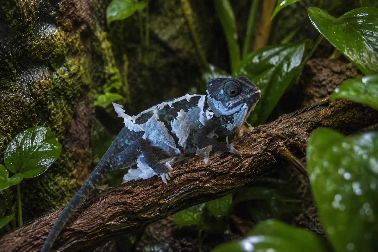 ChatGPT-Image-19-мая-2026-г._-16_09_45.webp