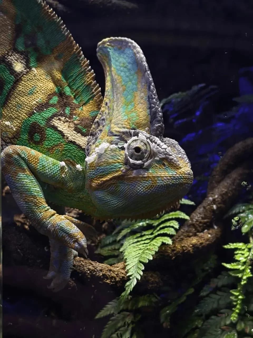PHOTO-2026-01-31-20-56-02.webp
