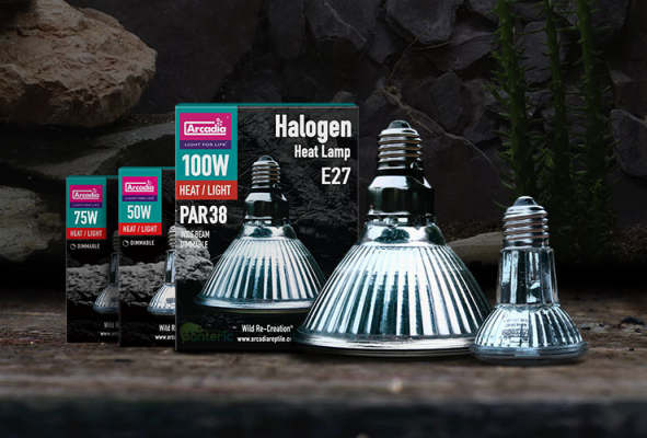 halogen-heat-lamps-helloaddblock