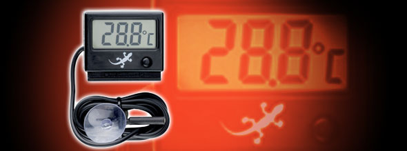 цифровой термометр