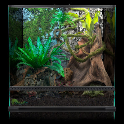 Террариум стеклянный Repti Planet 60х45×60 см