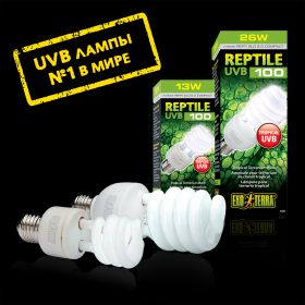 Лампа Hagen Exo-Terra Reptile UVB100 (Repti Glo 5.0 Compact) - фото - 2