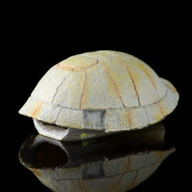 Панцирь Черепахи Hagen Exo-Terra Tortoise Skeleton - фото - 2