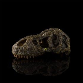 Череп Тиранозавра Hagen Exo-Terra T-rex Skull small - фото - 3