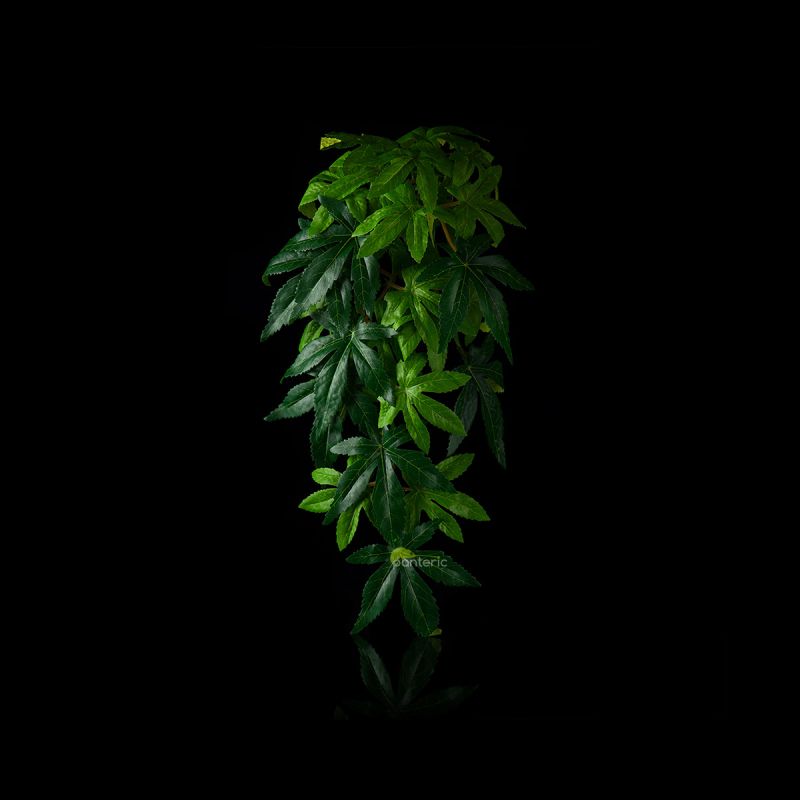 Искусственное растение Exo-Terra Hanging Rainforest Plants - Abutilon, medium