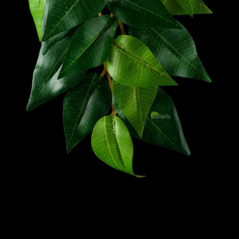Искусственное растение Exo-Terra Hanging Rainforest Plants - Ficus, small