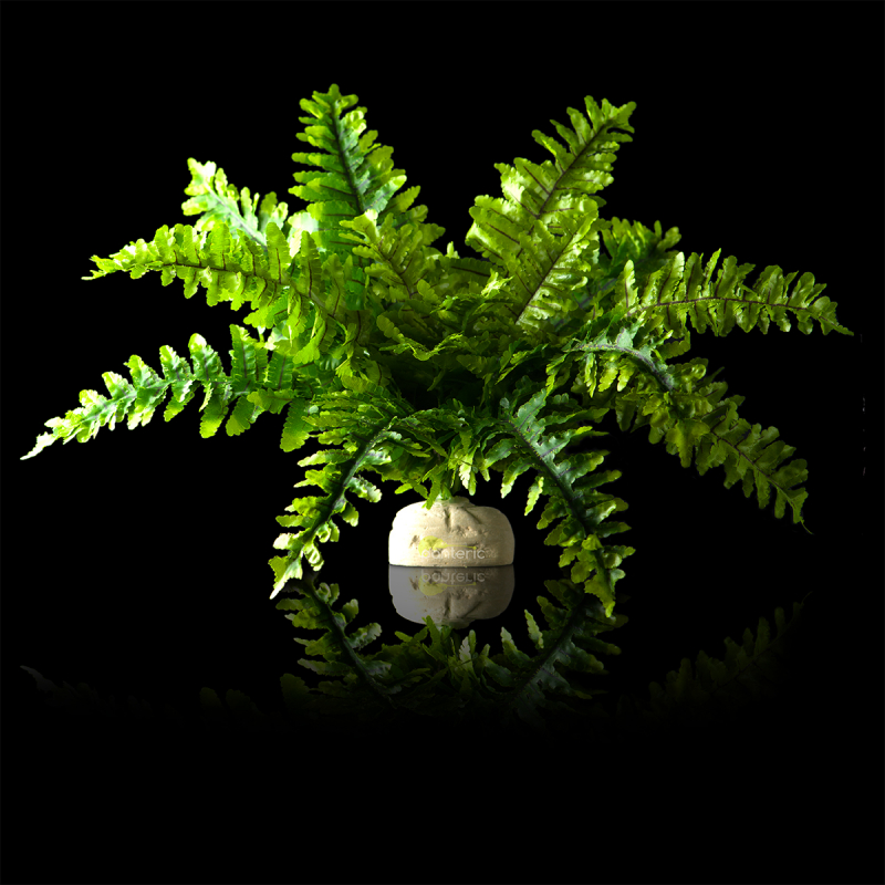 Искусственное растение Hagen Exo-Terra Boston Fern, medium - фото - 2