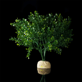Искусственное растение Hagen Exo-Terra Boxwood Bush - фото - 1