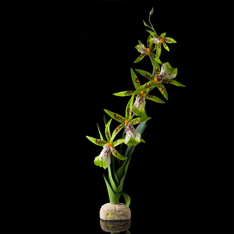 Искусственное растение Hagen Exo-Terra Spider Orchid - фото - 1