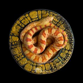 Гофёровая змея "Albino" - фото - 8
