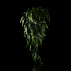 Искусственное растение Hanging Exo-Terra - Ruscus - фото - 1