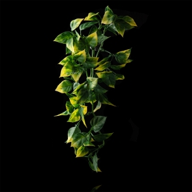 Искусственное растение Hanging Exo-Terra - Amapallo - фото - 1