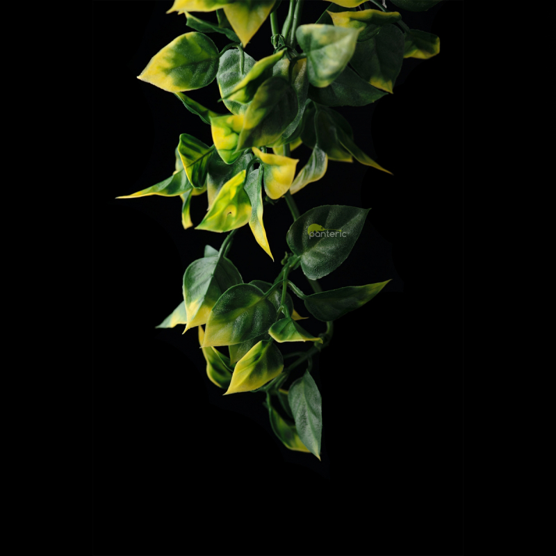 Искусственное растение Hanging Exo-Terra - Amapallo, small