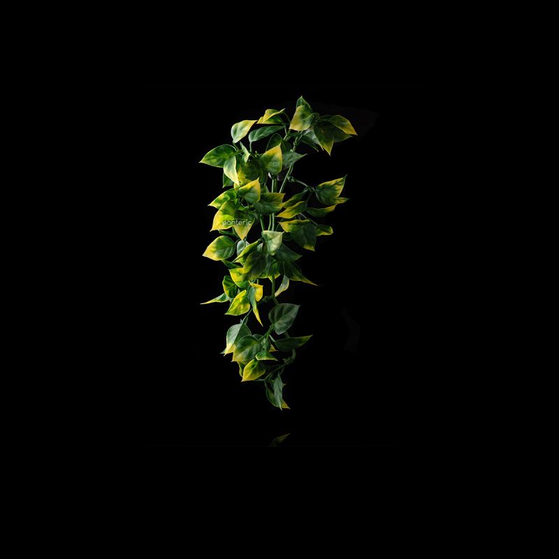 Искусственное растение Hanging Exo-Terra - Amapallo, small