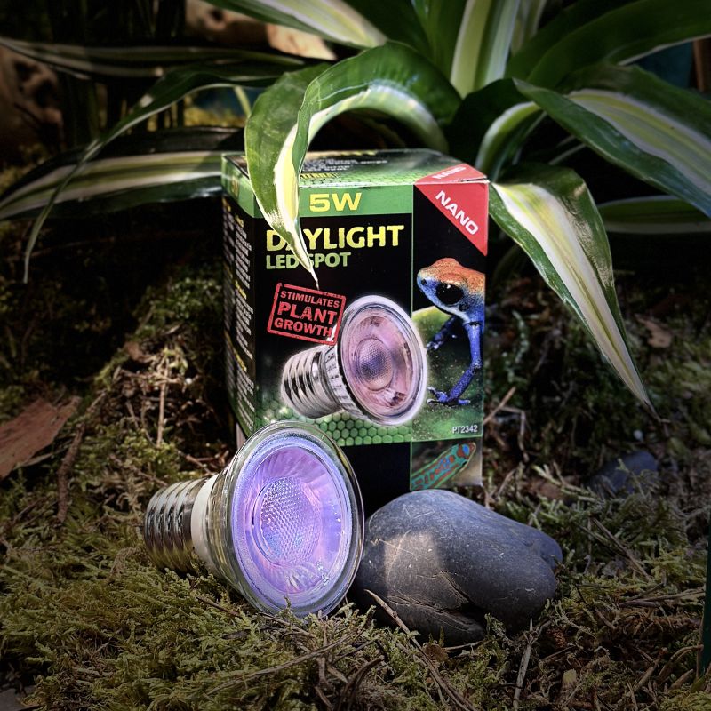 Лампа Exo Terra Daylight LED Spot NANO - 5 W - фото - 4