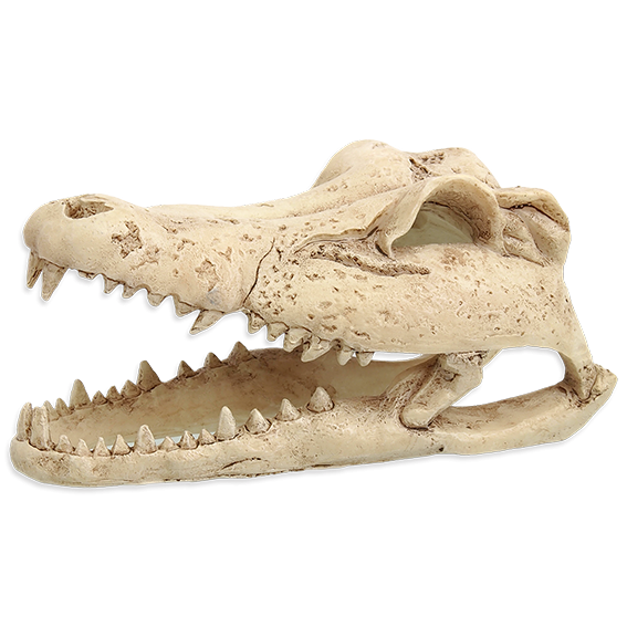 Череп Крокодила Repti Planet для террариума - фото - 1