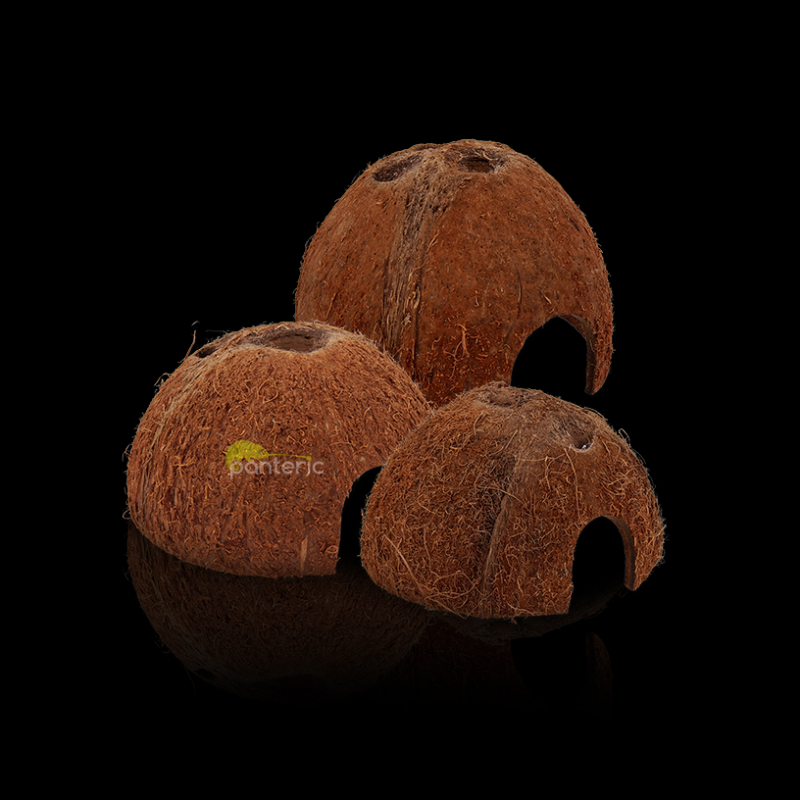 Укрытие-кокос ReptiPlanet Small