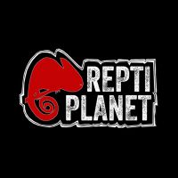 Бренды – Repti Planet