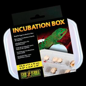 Контейнер для инкубации Hagen Exo-Terra Incubation Box - фото - 2