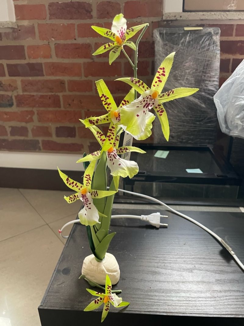 Искусственное растение Hagen Exo-Terra Spider Orchid Б/У