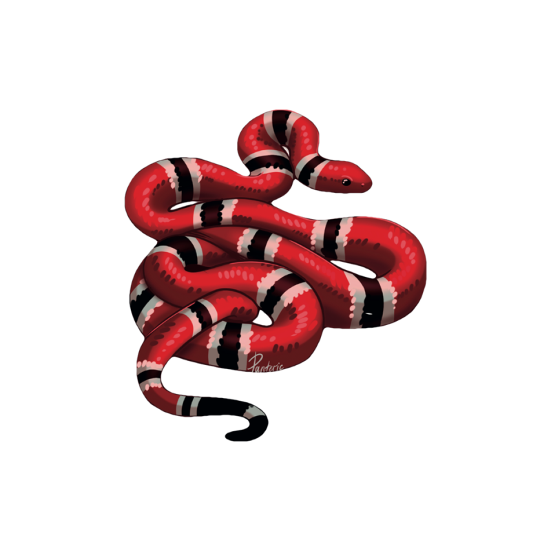 Стикер Красная Молочная Змея