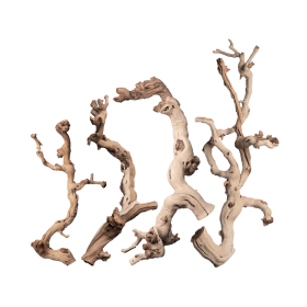 Коряга Белая очищенная лоза - фото - 5