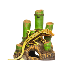 Bamboo root, S, Habitech - фото - 3