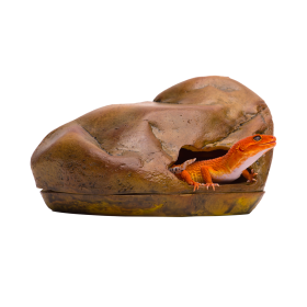 Gecko cave, L, Habitech - фото - 2